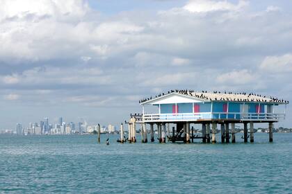 Nueva York exige hacer 14 días de cuarentena a quienes lleguen desde Miami, pero solo si pasaron más de 24 horas en el lugar