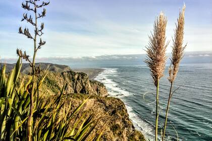 Nueva Zelanda impacta por sus imponentes playas, rocas y acantilados.