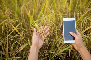 Los altos costos de los insumos estarían impulsando la adopción de AgTech