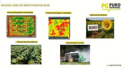 Nuevas lineas de investigación