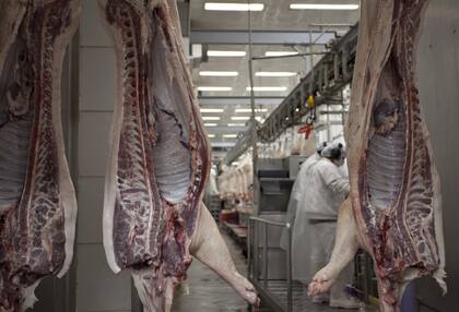 Nuevo mercado: Singapur habilitó la importación para la carne y productos porcinos argentinos