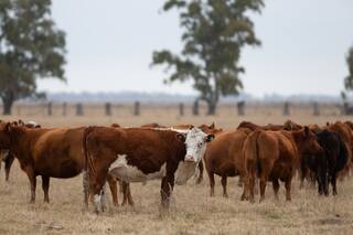 Conservación y producción, una meta posible