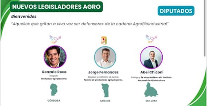 Nuevos diputados ligados al sector