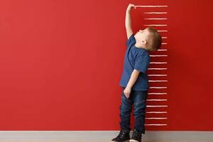 Nuevos estudios buscan trazar la relación entre el momento del nacimiento y la posterior altura de las personas