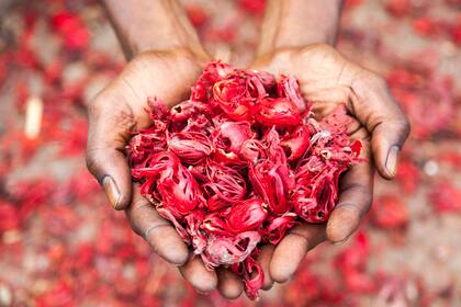 Nuez moscada en Grenada.