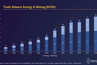 Con un gráfico, el Gobierno mostró por qué espera un boom de dólares