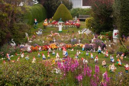 Numerosa comunidad de enanitos de jardín, entre cisnes y otros convocados de piedra, en Puerto Argentino, la capital del archipiélago.