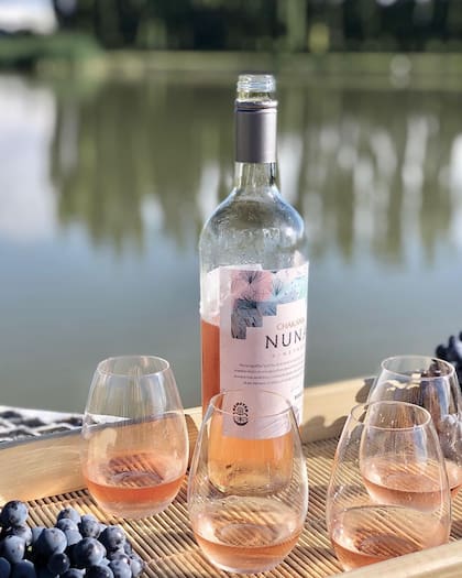 Nuna es una gran opción para los que buscan un vino orgánico más suave.