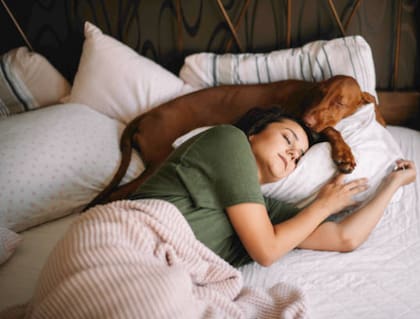 Nunca hubo tanta literatura especializada ofreciendo recomendaciones para dormir mejor, pero tampoco tanta culpa asociada un acto tan primitivo