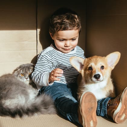 Nutrican permite equipar a las mascotas de la casa con todo lo necesario en un solo lugar