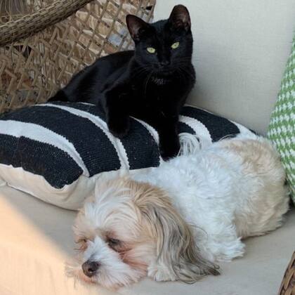 Oakley y Binx llevan varios años juntos