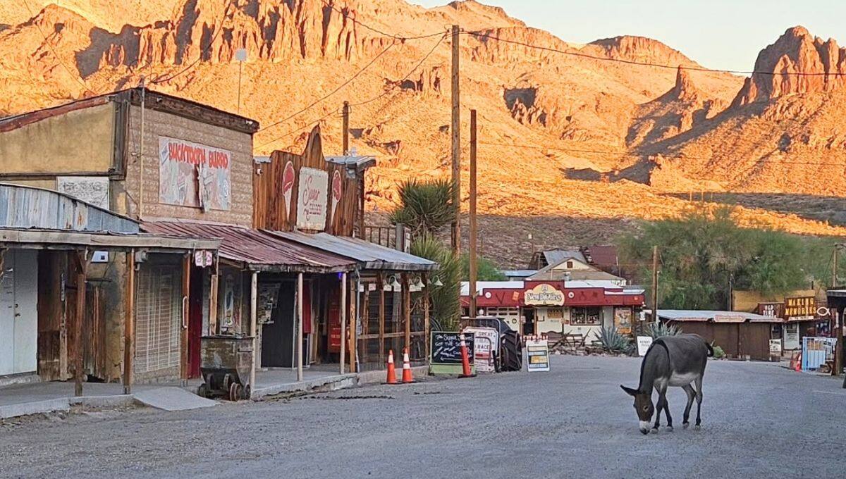 A cidade do Arizona que desencadeou a corrida do ouro no século 20 e agora é um refúgio para burros selvagens A cidade do Arizona que desencadeou a corrida do ouro no século 20 e agora é um refúgio para burros selvagens