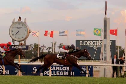 Obataye dejó segundo a The Gladiator's Hat en el Gran Premio Carlos Pellegrini (G1), en San Isidro