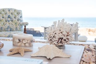Objetos marinos que adornan una mesa del living. El coral blanco pertenecía a la mamá de la conductora. “Cada vez que lo observo, pienso en ella”, nos dice.
