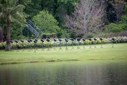 Obra A toda orquesta con la naturaleza, de Carlos Gallardo.