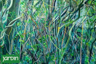 Tres artistas para quienes el mundo vegetal es la razón de su obra