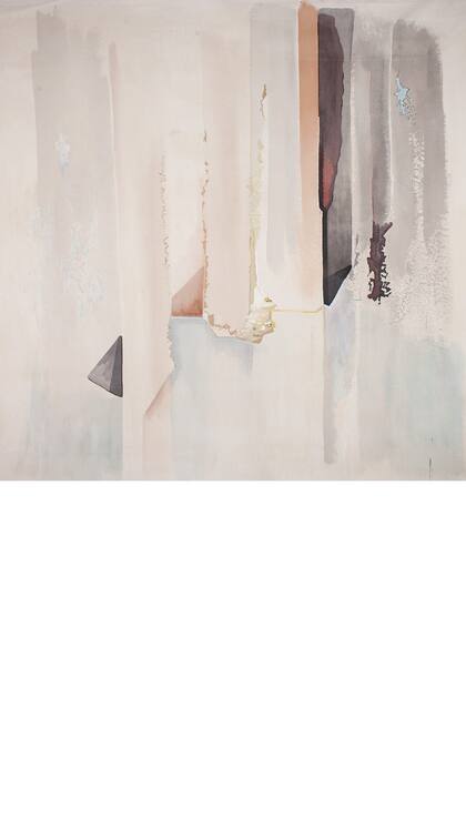 Obra de Ana Fuchs en Van Riel