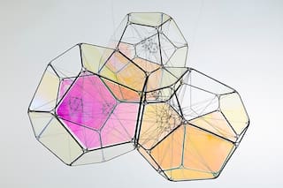 Tomás Saraceno "La diversidad nos va a permitir sobrevivir; cuantas más formas d