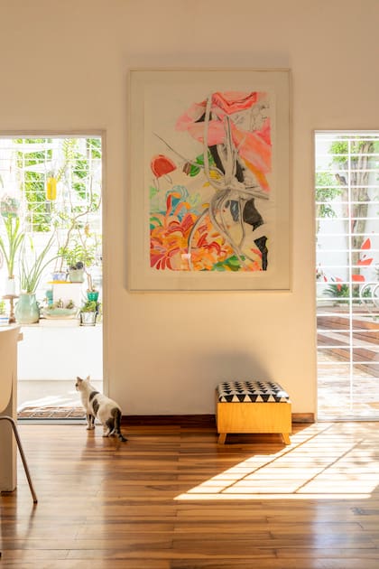 Obra 'El sueño de la Thylansia' con técnica mixta por Ana Manghi.