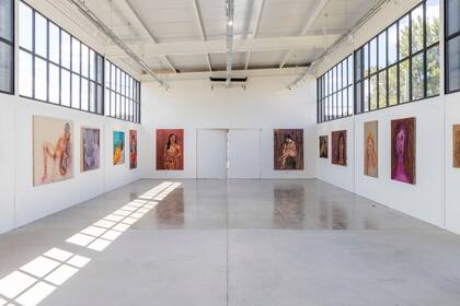Obras de Marcia Schvartz en la nueva galería walden naturae, en Pueblo Garzón