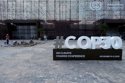 Obreros en la puesta a punto de la COP30