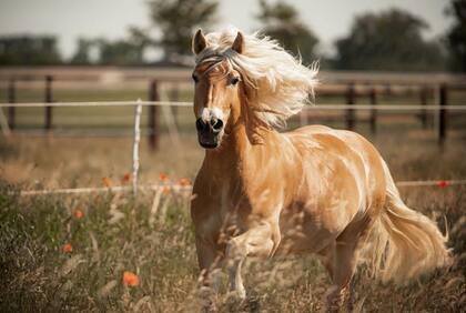 Observar una partícula es como tomarle una foto a algo en movimiento: lo fuerzas a quedarse quieto y asumir una posición.