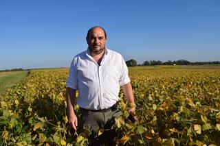 Soja de segunda: cómo apuntar a los altos rendimientos