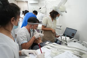 Tras semanas de paro, las universidades ahora protestan “a la japonesa”: odontólogos y veterinarios gratis