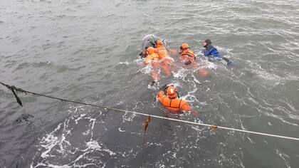 Oficiales de la Prefectura trabajaron en el rescate de los delfines