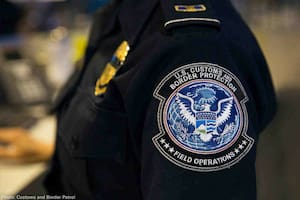 Alerta en Texas sobre una plaga invasora detectada a 55 millas de la frontera con México