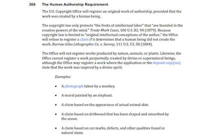 Oficina de Copyright de Estados Unidos estadounidense foto autofoto selfie mono macaco fotógrado derechos de autor