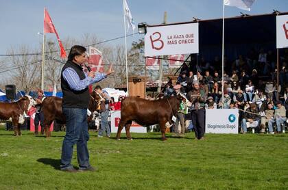 Ojea Rullán como jurado en una exposición