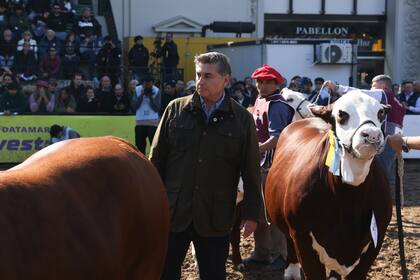 Ojea Rullán destacó el avance general de la raza en esta exposición: “Había entre 60 y 70 hembras en competencia y se notó un salto cualitativo muy importante"