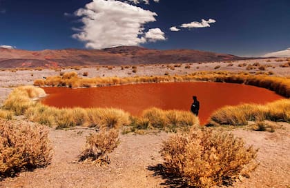 Al norte de Antof de la Sierra, en Catamarca, se encuentra Ojos de Campo en donde hay tres lagunas salinizadas que resultan una llave para comprender el origen de la vida en la Tierra.