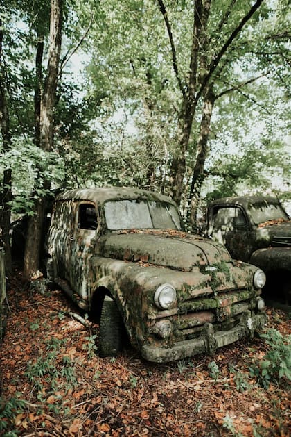 "Old Car City" el museo que hace de los autos abandonados a la intemperie una atracción