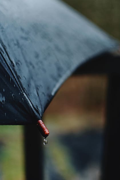 Old Farmer's Almanac comparte el pronóstico del clima para enero de 2026 en todo Estados Unidos (Pexels/Darya Grey_Owl)