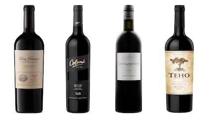 Old vines: vinos para descubrir la historia de la viticultura argentina