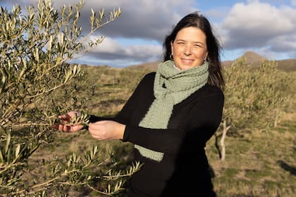 Olivares de la Sierra, en Tornquist, es un emprendimiento que sorprende.