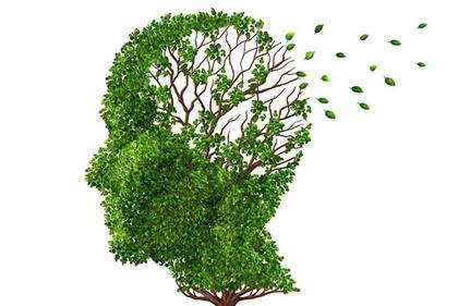 Olvidar es tan importante como recordar.