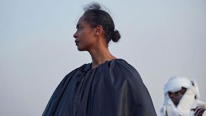 On Becoming a Guinea Fowl