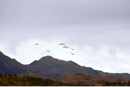 Ongamira, Córdoba. Foto: Gilda Tomasini.