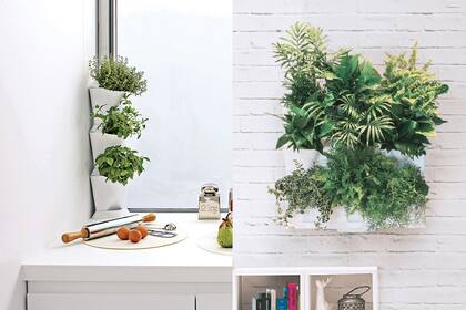 Opciones ideales para tener plantas aromáticas, hortícolas u ornamentales en casa