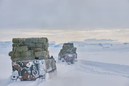 Operación Patagonia Profunda