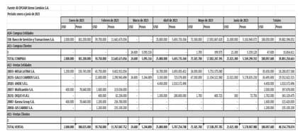 Operaciones investigadas en el sumario del BCRA sobre Stema Cambios