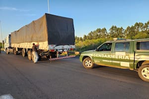 Revisan cinco camiones que transportaban granos: dos de ellos escondían un millonario cargamento ilegal