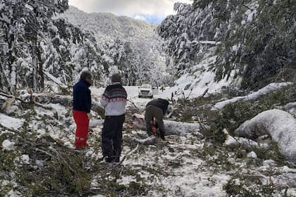 Operativo de emergencia para restablecer la circulación en el Camino de los Siete Lagos