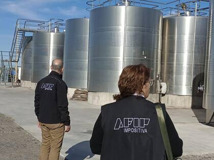 Operativo de la AFIP en establecimientos vitivinícolas