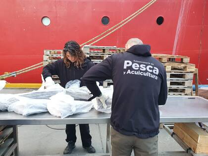 Operativo de la Secretaría de Pesca y Agricultura controlando el cumplimiento de la cuota de pesca autorizada