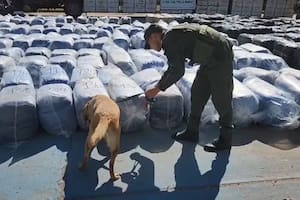 Operativo Hojas de Coca.