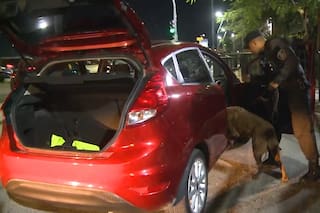 Un perro de olfato muy fino, dealers sorprendidos y “trapitos” atrapados in fraganti: perlas de una noche de fiesta electrónica